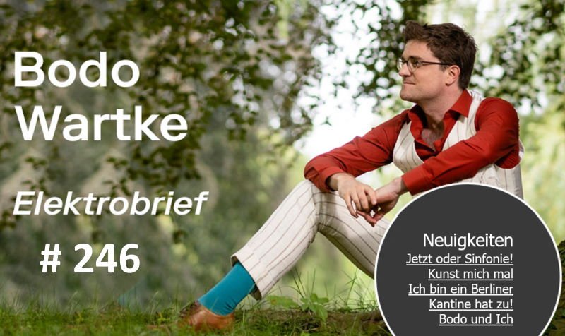 Bodo Wartke Elektrobrief Nr. 246 - Header.jpg